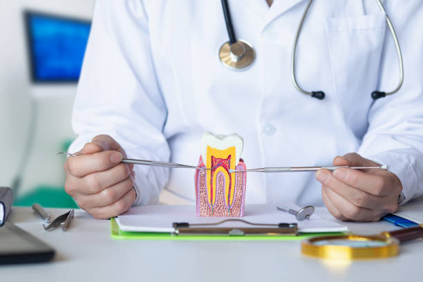 Best Emergency Dentist for Special Needs Patients in Wellington, TX